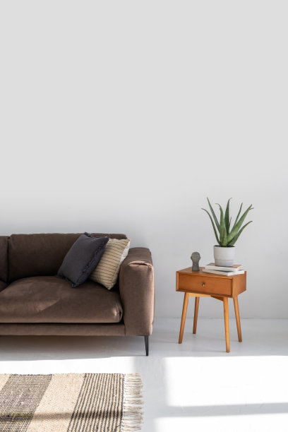 白色调的客厅内部有沙发和装饰图片下载