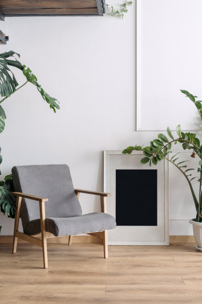现代斯堪的纳维亚风格的客厅扶手椅和装饰图片下载