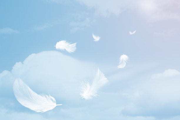 白色的羽毛漂浮在天空与阳光柔和的色调。空闲空间可添加文字或季节、节日、婴儿用品等。图片下载