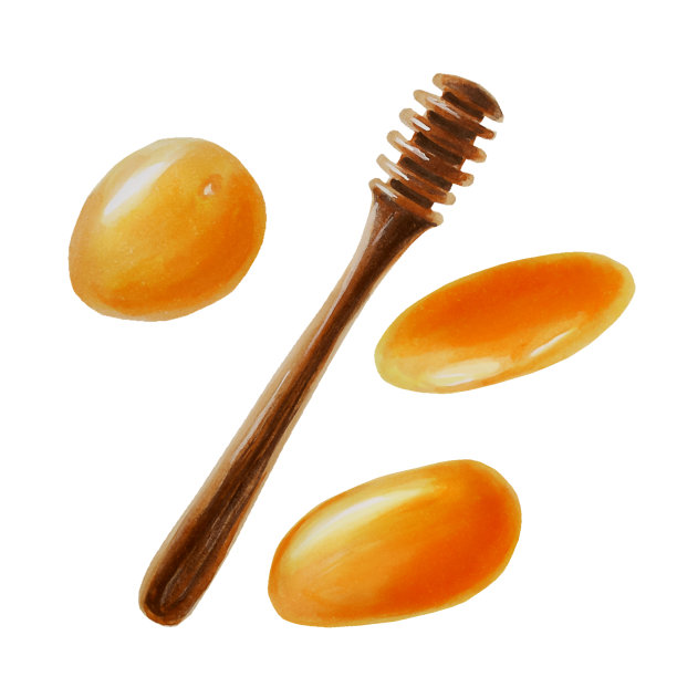 水彩画集蜂蜜在一根棍子和水滴，滴蜂蜜。手绘免疫增强集维生素孤立插图在书写背景图片下载