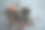 一杯小杯浓缩咖啡与木柄，咖啡饮料菜单。图片下载