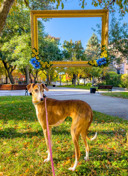 秋天的颜色图片下载