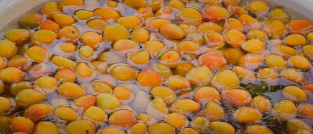 新鲜收获的杏子被清洗干净，放在水里，用来制作罐头和果酱。图片下载