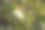 田野上一个未经栽培的南瓜的特写图片下载