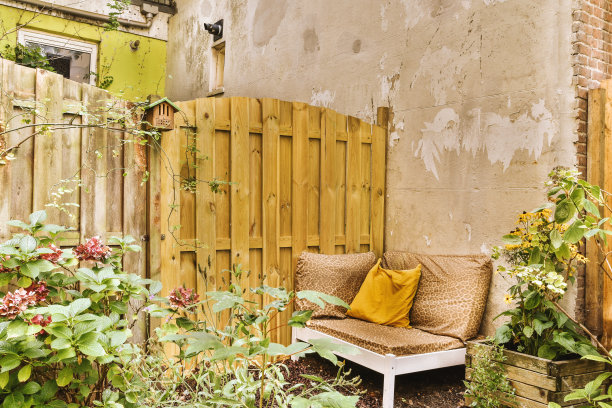 一个长满植物的小后院是一个放松的地方图片下载