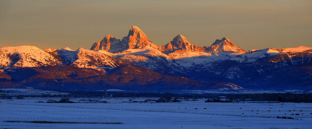 冬雪中的提顿山和河中倒影的树木图片下载