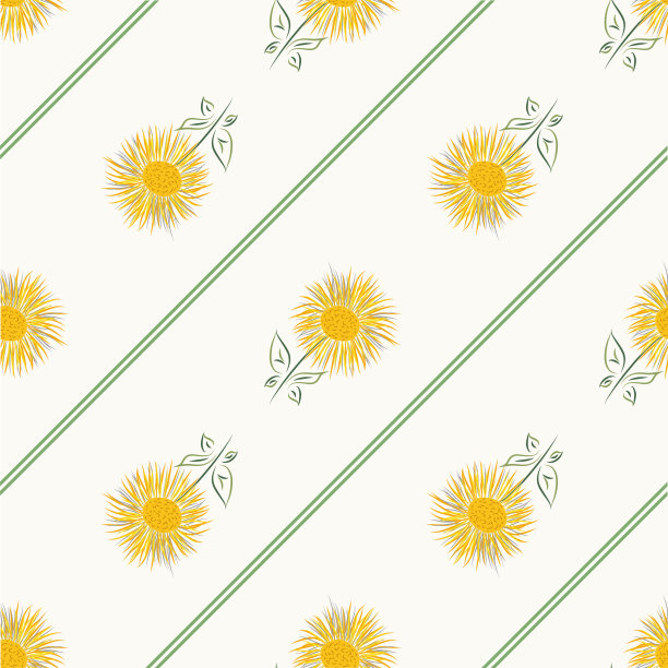 菊花无缝矢量图案背景。多年生草屋花园花黄绿色斜条纹背景。巨大的Fleabane绘画几何设计。夏季最极致的小屋核图片下载