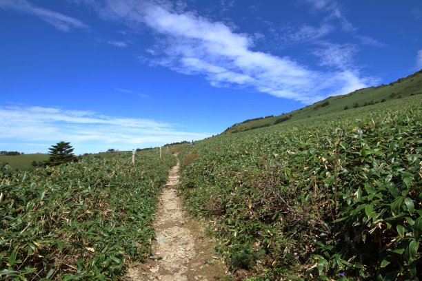龟森山间步道，秋天的天空（爱媛县四国）图片下载