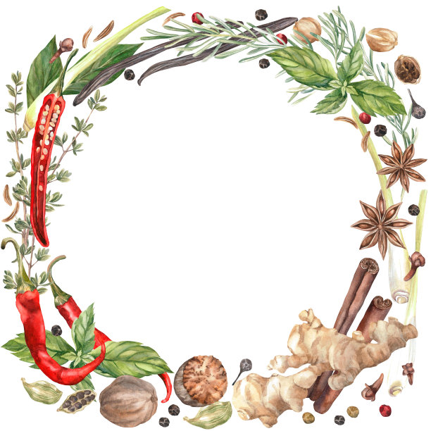 香料水彩。集。剪贴画插图。设计的菜单，烹饪博客，包装，纺织品，网页设计，网站，贴纸，邀请，图案，标志。手工绘制。图片下载