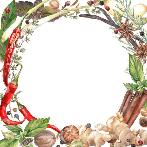 香料水彩。集。剪贴画插图。设计的菜单，烹饪博客，包装，纺织品，网页设计，网站，贴纸，邀请，图案，标志。手工绘制。图片下载