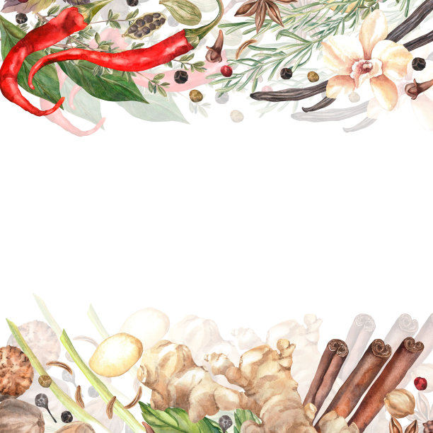 香料水彩。集。剪贴画插图。设计的菜单，烹饪博客，包装，纺织品，网页设计，网站，贴纸，邀请，图案，标志。手工绘制。图片下载