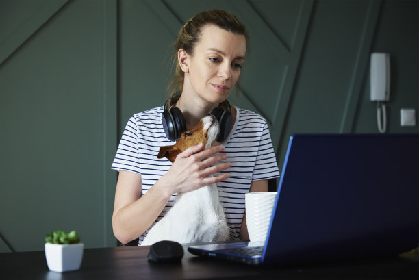 一名妇女在家庭办公室和宠物一起使用笔记本电脑图片下载