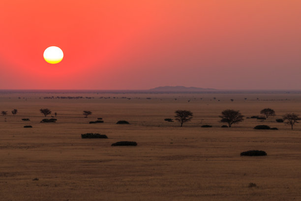 大草原上的日落。美丽的风景。纸牌,纳米比亚。图片下载