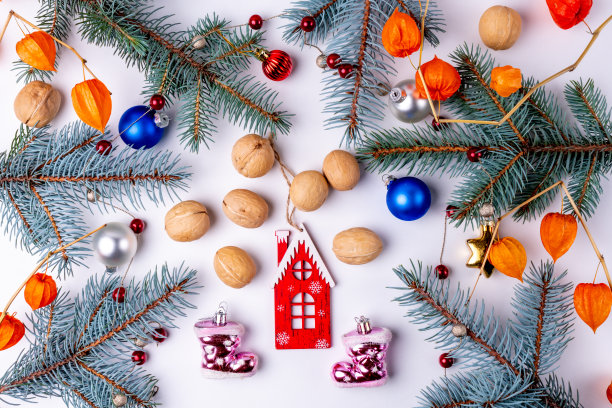 圣诞装饰，圣诞树的树枝孤立在白色的背景图片下载