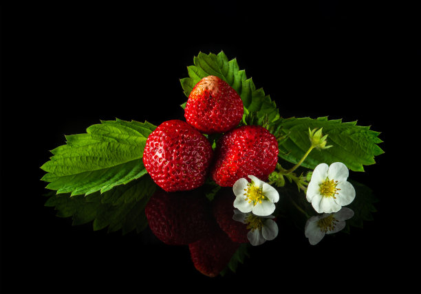 成熟的红色草莓，黑色背景上有叶子和花朵。夏日甜蜜饮食和健康维生素包图片下载