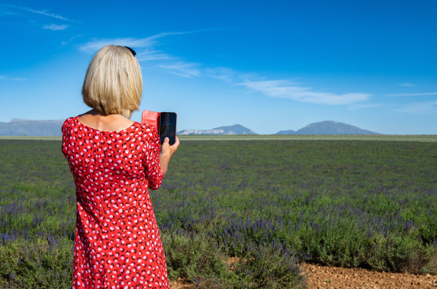 法国普罗旺斯的瓦伦索勒高原图片下载