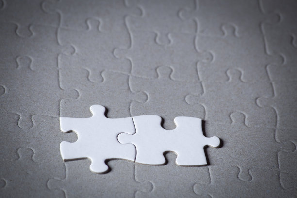 两块拼图代表联盟图片下载