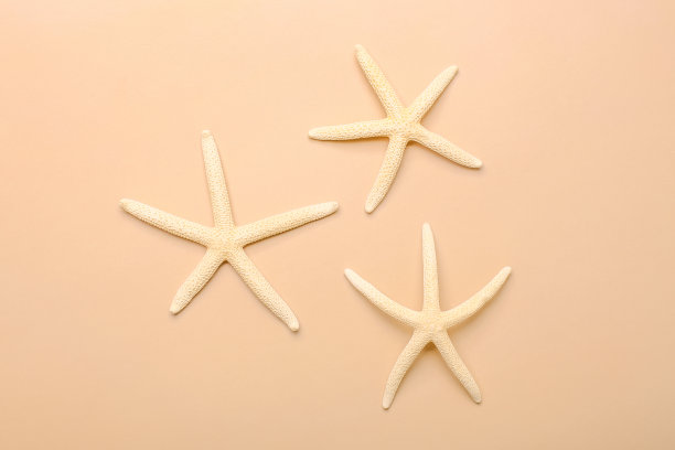 海星海在沙滩米色背景。夏天的背景。装饰纺织品。孤立的对象。图片下载
