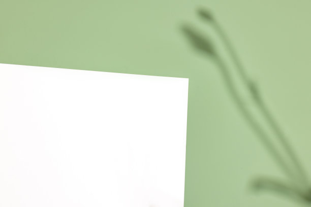 模板纸上的植物阴影在柔和的绿色背景，伟大的设计为任何目的。抽象的背景。旗帜模板。广告图片下载