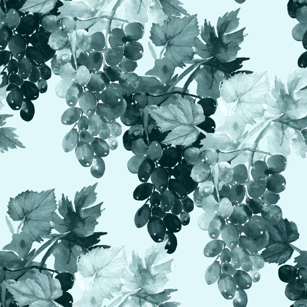 葡萄和树叶的水彩画图案。图片下载
