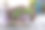石盆中紫苏花黑色和粉红色图片下载