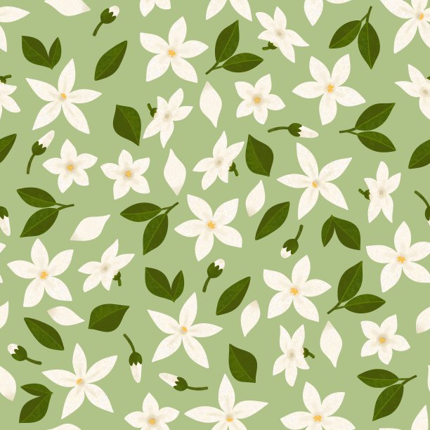 茉莉花图案图片下载