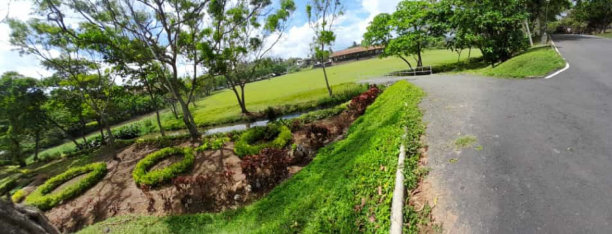 大学的前提图片下载