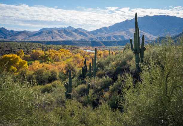 在维德河谷换树叶图片下载