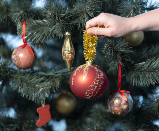 一个女人的手拿着一个红色的玻璃球靠近圣诞树图片下载