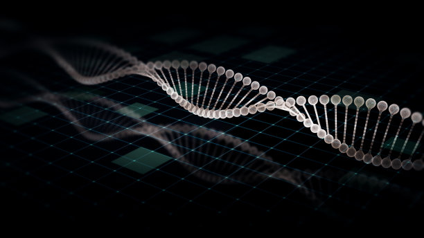 先进DNA序列分析的全息显示图片下载