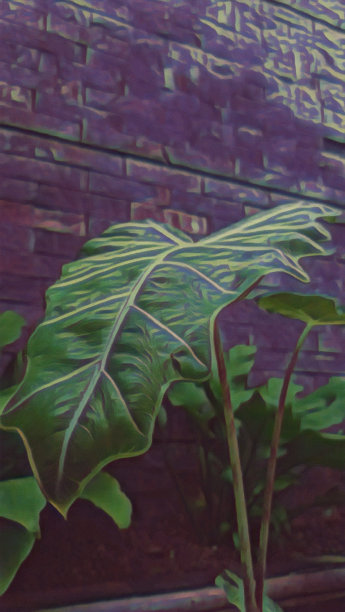 垂直油画插图大植物在紫色的墙壁背景图片下载