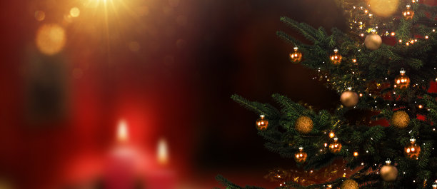 圣诞树在前景对模糊的客厅图片下载