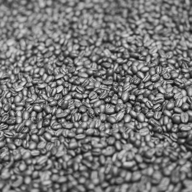 一堆烤咖啡豆的灰度图图片下载