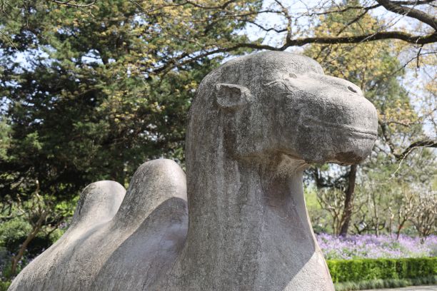 中国南京，明朝皇帝墓中的骆驼雕像图片下载