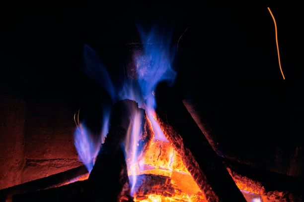 在大火中燃烧的树林的近景图片下载