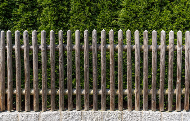 在树篱前用木头做成的花园篱笆图片下载