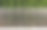 在树篱前用木头做成的花园篱笆图片下载
