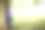 男倚着树读着背景模糊的《圣经》图片下载