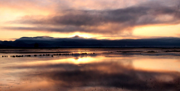 冬日湖中日出时的光影图片下载