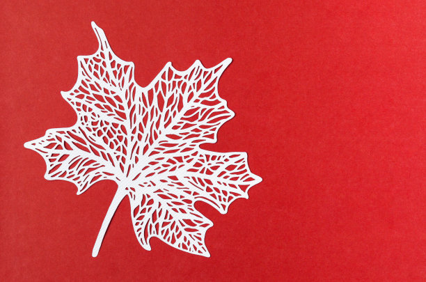 在红色纸板背景上雕刻白色纸叶。图片下载