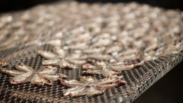 背景，鱼干图片下载