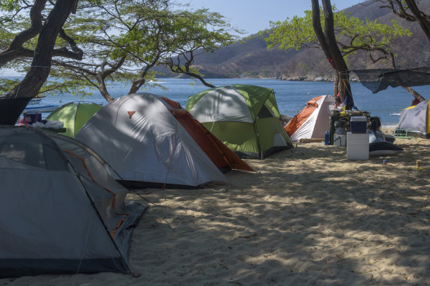海滩附近树下的几顶帐篷图片下载