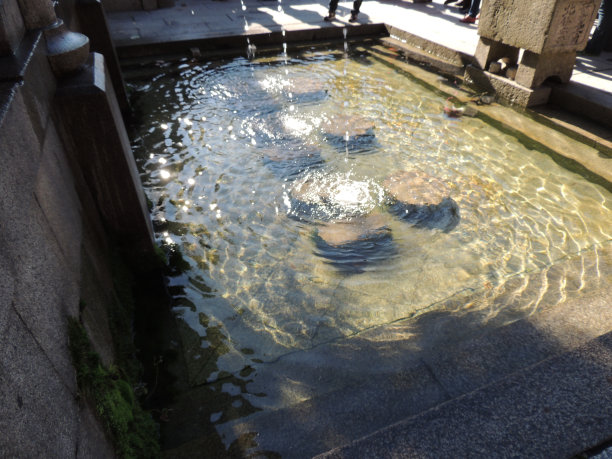 水的地方图片下载