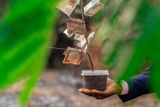 黑人手里拿着一棵手工制作的钱树——成功的概念图片下载