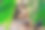 黑人手里拿着一棵手工制作的钱树——成功的概念图片下载
