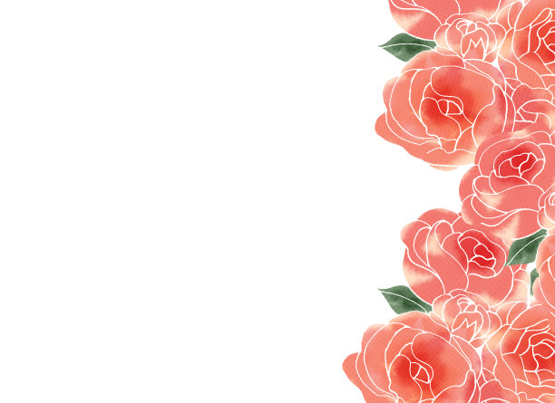 粉色玫瑰背景图片下载