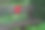 公园里一张木凳的背后画着鲜红的心图片下载