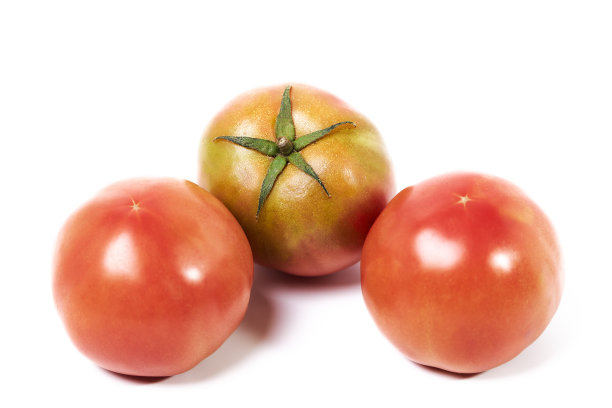 整个红色番茄在白色背景上分离图片下载