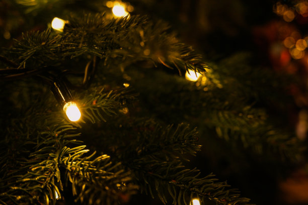 圣诞节的背景。花环在圣诞树上点亮新年的彩灯。模糊的照片背景与闪烁的灯从纠缠的花环。冬季和节假日背景图片下载