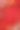 2023年中国新年作文。顶视图框架的红色口袋，花，橙色的红色背景。图片下载
